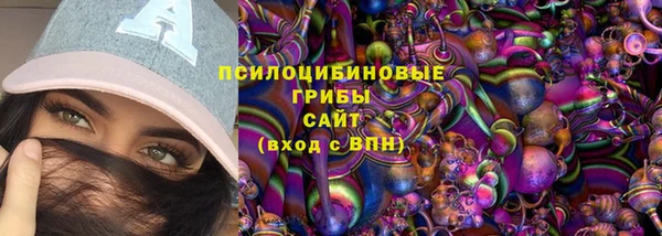 мдпв Горно-Алтайск