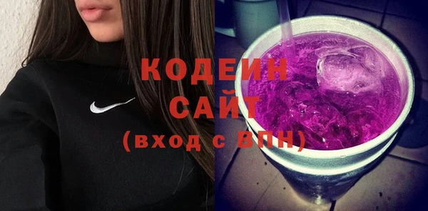 мдпв Горно-Алтайск