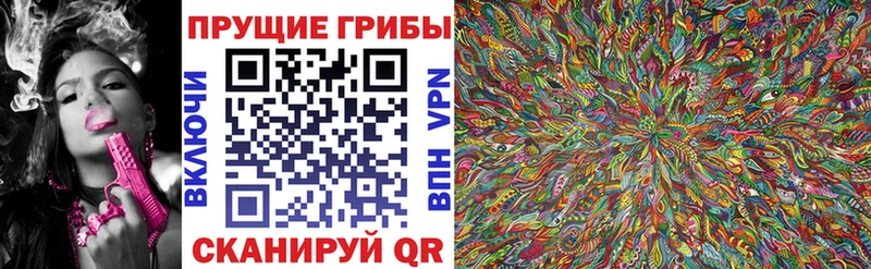 Галлюциногенные грибы Cubensis Цимлянск